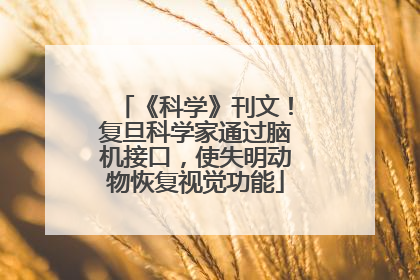 《科学》刊文！复旦科学家通过脑机接口，使失明动物恢复视觉功能