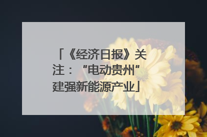 《经济日报》关注：“电动贵州”建强新能源产业