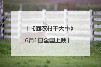 《回农村干大事》6月1日全国上映