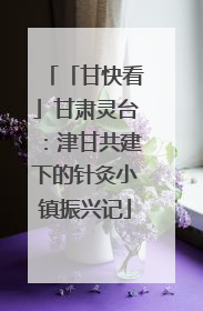 「甘快看」甘肃灵台：津甘共建下的针灸小镇振兴记