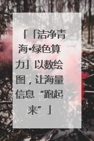 「洁净青海•绿色算力」以数绘图，让海量信息“跑起来”
