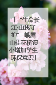 “生命长江·由我守护” 峨眉山桂花桥镇小增加学生环保意识