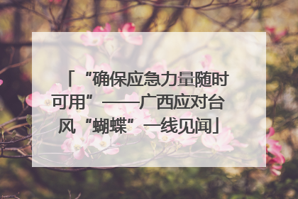 “确保应急力量随时可用”——广西应对台风“蝴蝶”一线见闻