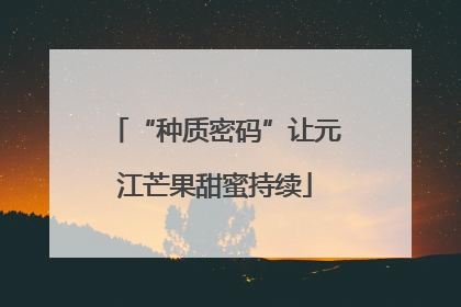 “种质密码”让元江芒果甜蜜持续