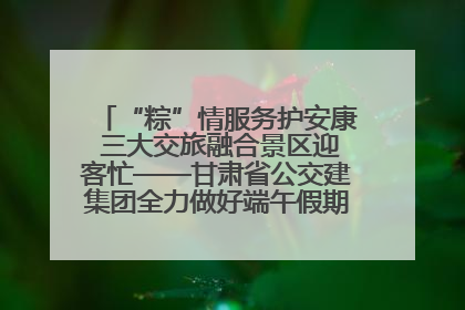“粽”情服务护安康 三大交旅融合景区迎客忙——甘肃省公交建集团全力做好端午假期景区运营工作