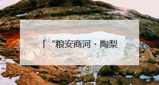 “粮安商河・陶梨留香”：三产融合赋能乡村振兴 跨村联建绘就共富画卷