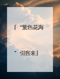 “紫色花海”引客来