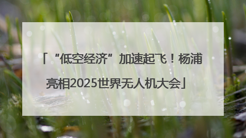 “低空经济”加速起飞！杨浦亮相2025世界无人机大会