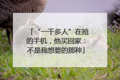 “一千多人”在抢的手机，他买回家：不是我想要的那种