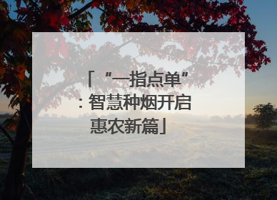 “一指点单”：智慧种烟开启惠农新篇