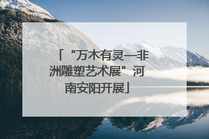 “万木有灵—非洲雕塑艺术展”河南安阳开展