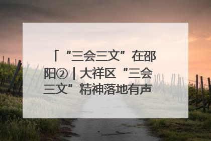 “三会三文”在邵阳②｜大祥区“三会三文”精神落地有声 以实干实绩助力区域高质量发展