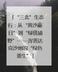 “三北”生态行：从“黄沙蔽日”到“绿毯铺野”——浑善达克沙地的“绿色重生”