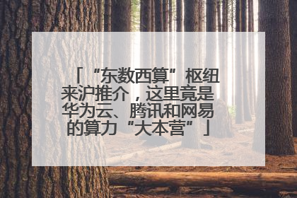 “东数西算”枢纽来沪推介，这里竟是华为云、腾讯和网易的算力“大本营”