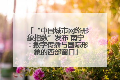 “中国城市网络形象指数”发布 南宁：数字传播与国际形象的西部窗口