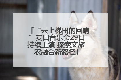 “云上梯田的回响”麦田音乐会29日持续上演 探索文旅农融合新路径