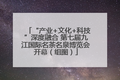 “产业+文化+科技”深度融合 第七届九江国际名茶名泉博览会开幕（组图）
