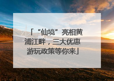 “仙境”亮相黄浦江畔，三大优惠游玩政策等你来