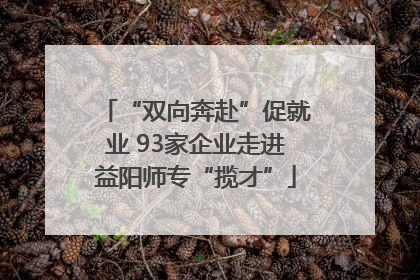 “双向奔赴”促就业 93家企业走进益阳师专“揽才”