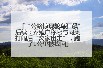 “公路惊现鸵鸟狂飙”后续：养殖户称它与同类打闹后“离家出走”，跑了1公里被找回