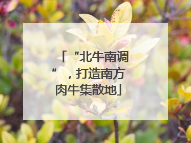 “北牛南调”，打造南方肉牛集散地