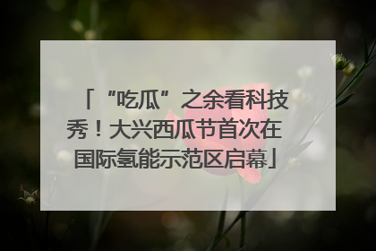 “吃瓜”之余看科技秀！大兴西瓜节首次在国际氢能示范区启幕