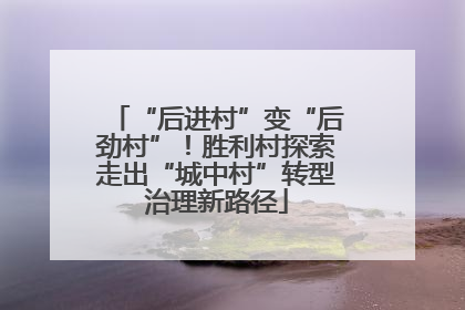 “后进村”变“后劲村”！胜利村探索走出“城中村”转型治理新路径