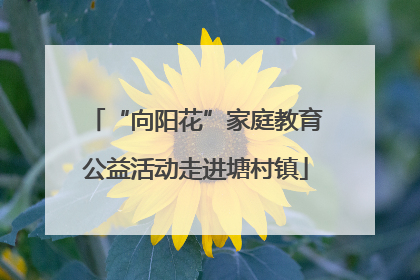 “向阳花”家庭教育公益活动走进塘村镇