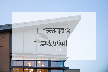 “天府粮仓”夏收见闻