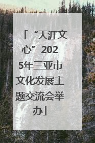 “天涯文心”2025年三亚市文化发展主题交流会举办