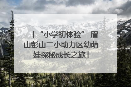 “小学初体验” 眉山彭山二小助力区幼萌娃探秘成长之旅
