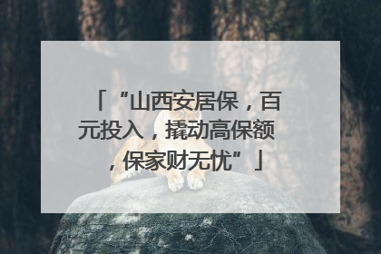 “山西安居保，百元投入，撬动高保额，保家财无忧”