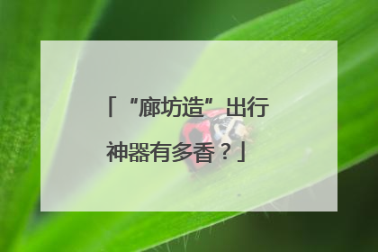 “廊坊造”出行神器有多香？