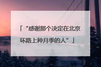 “感谢那个决定在北京环路上种月季的人”