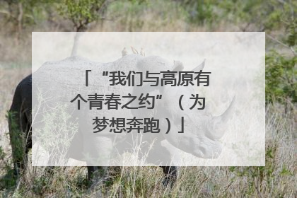 “我们与高原有个青春之约”（为梦想奔跑）