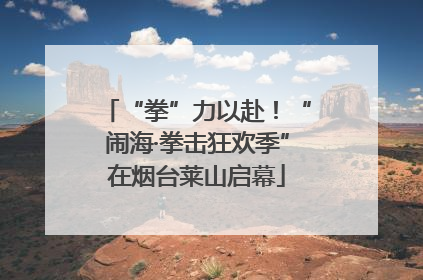 “拳”力以赴！“闹海·拳击狂欢季”在烟台莱山启幕