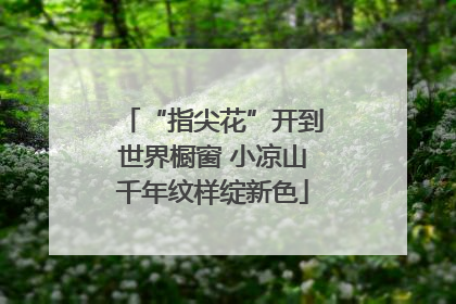“指尖花”开到世界橱窗 小凉山千年纹样绽新色