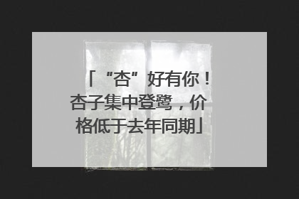 “杏”好有你！杏子集中登鹭，价格低于去年同期
