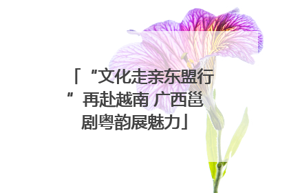 “文化走亲东盟行”再赴越南 广西邕剧粤韵展魅力