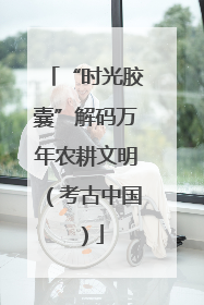 “时光胶囊”解码万年农耕文明（考古中国）