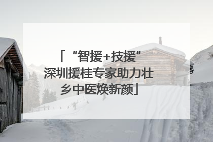 “智援+技援” 深圳援桂专家助力壮乡中医焕新颜