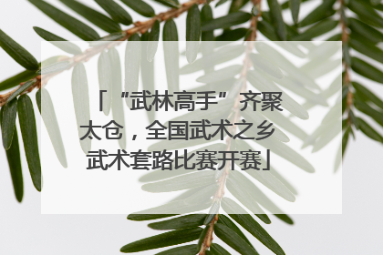 “武林高手”齐聚太仓，全国武术之乡武术套路比赛开赛