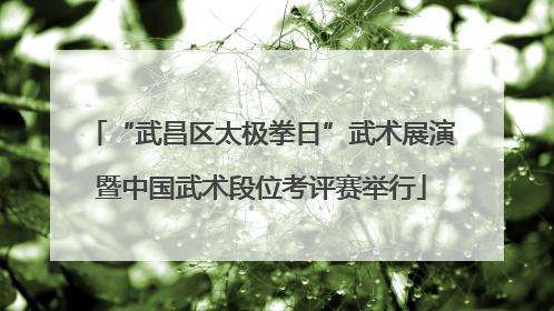 “武昌区太极拳日”武术展演暨中国武术段位考评赛举行