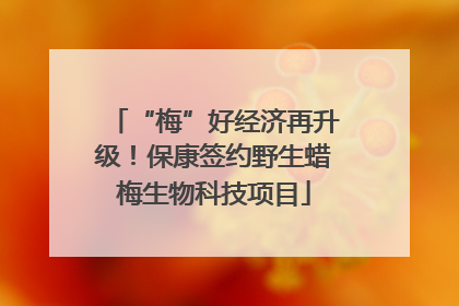 “梅”好经济再升级！保康签约野生蜡梅生物科技项目