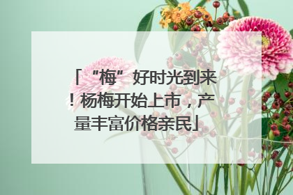 “梅”好时光到来！杨梅开始上市，产量丰富价格亲民