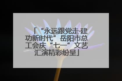 “永远跟党走·建功新时代”岳阳市总工会庆“七一”文艺汇演精彩纷呈