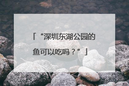 “深圳东湖公园的鱼可以吃吗？”