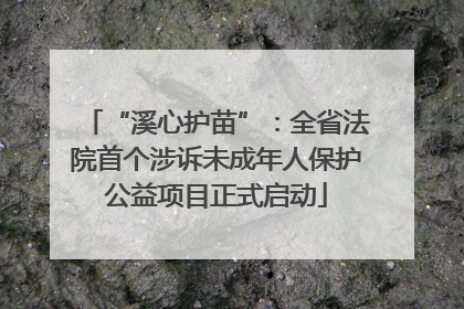 “溪心护苗”：全省法院首个涉诉未成年人保护公益项目正式启动