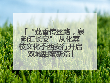“荔香传丝路，泉韵汇长安” 从化荔枝文化季西安行开启双城甜蜜新篇