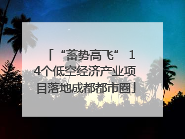 “蓄势高飞” 14个低空经济产业项目落地成都都市圈